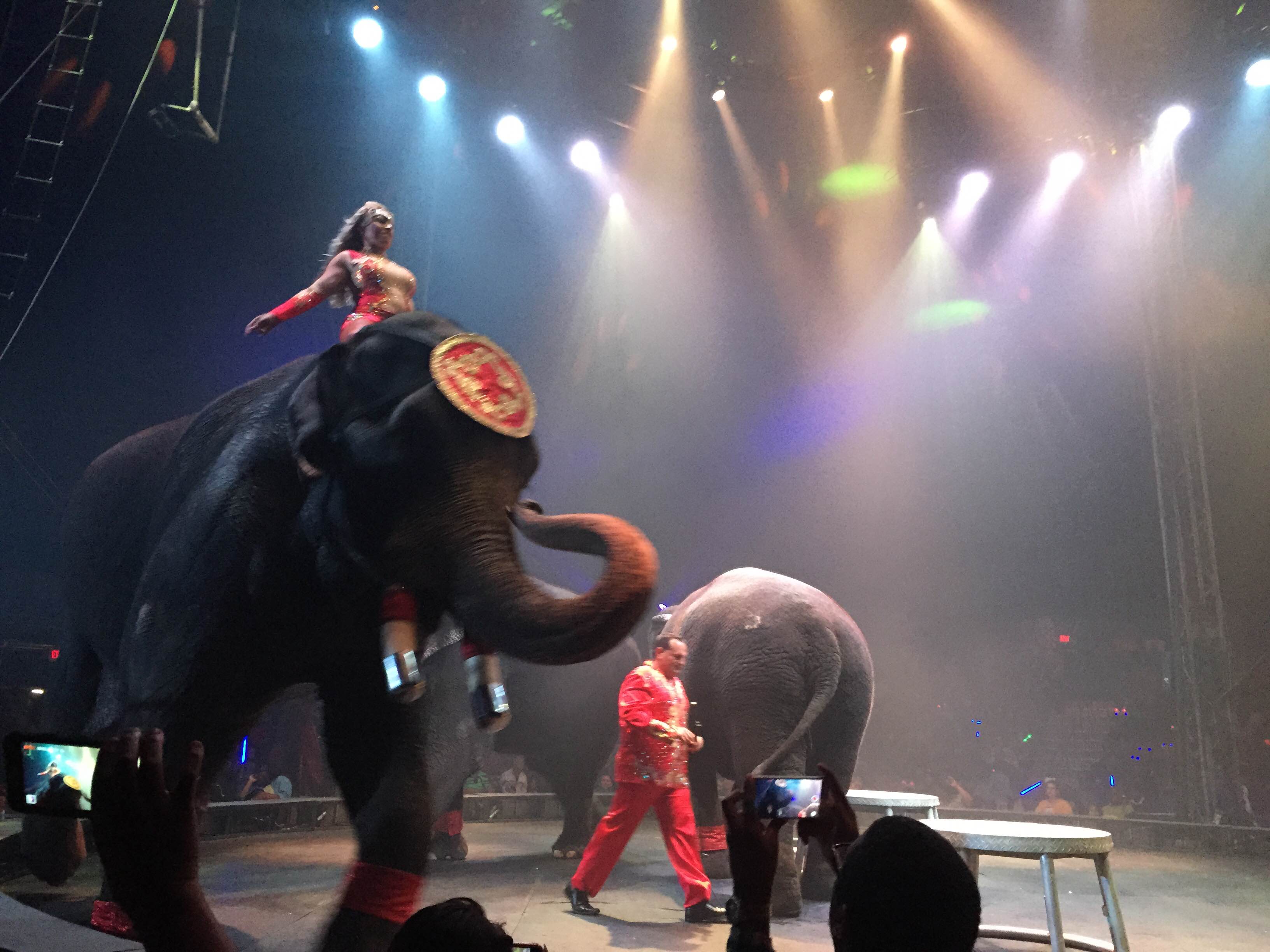 April Watts Universoul Circus1