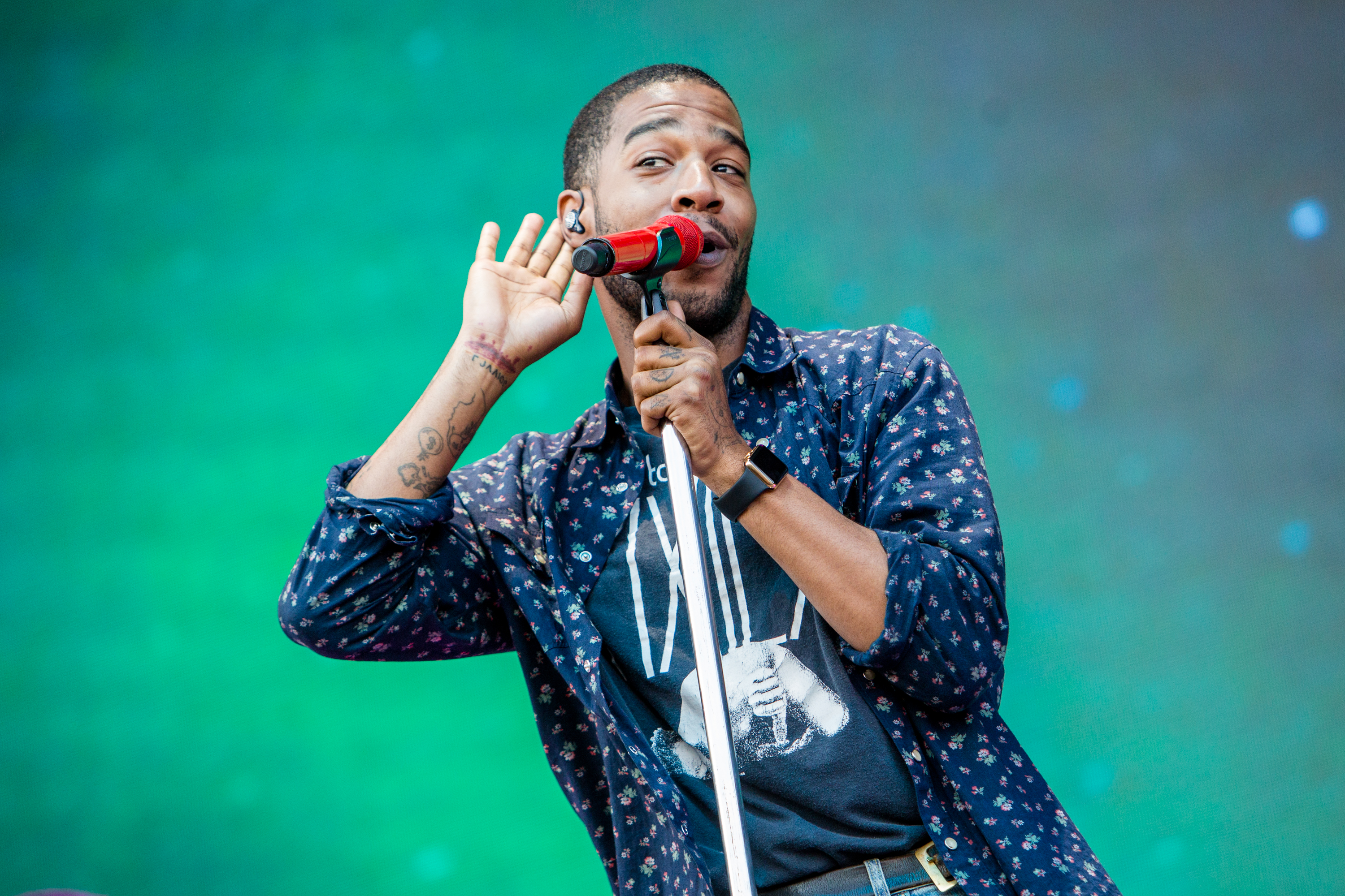 2015 Lollapalooza - Day 2